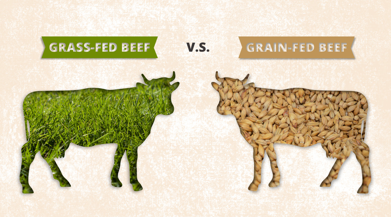 What is the difference between Grass fed and Grain fed beef?